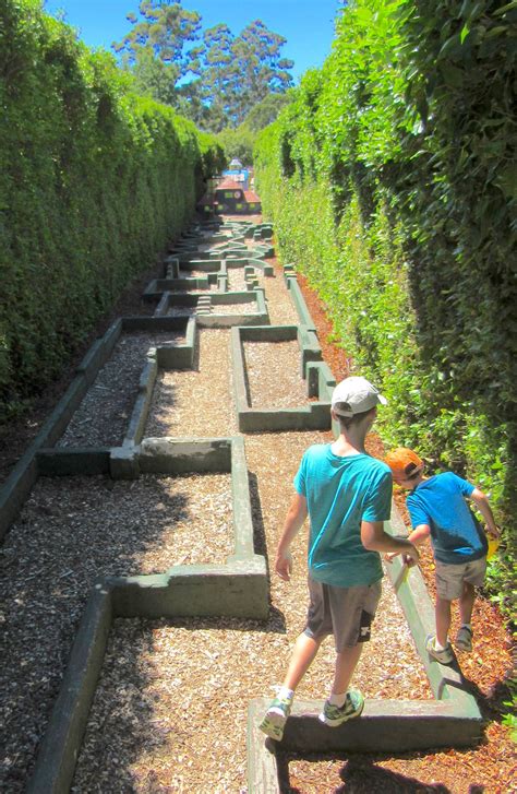 maze in tasmania